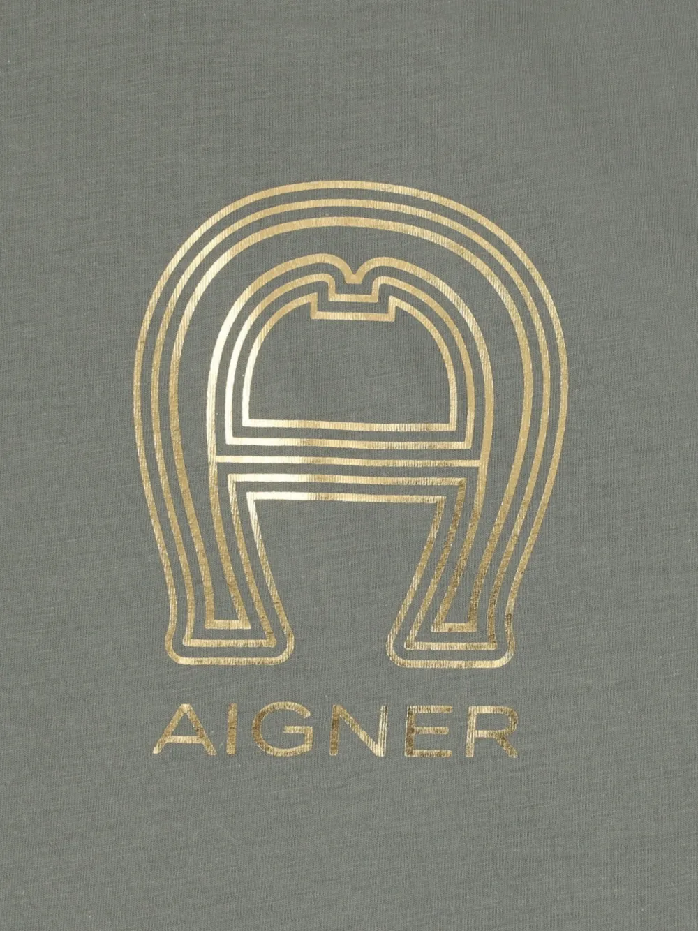 Aigner Kids T-shirt met hoefijzer-logo Grijs
