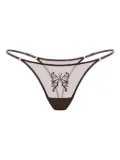 Zhilyova Butterfly Gravity butterfly embroidered g-string - Brown