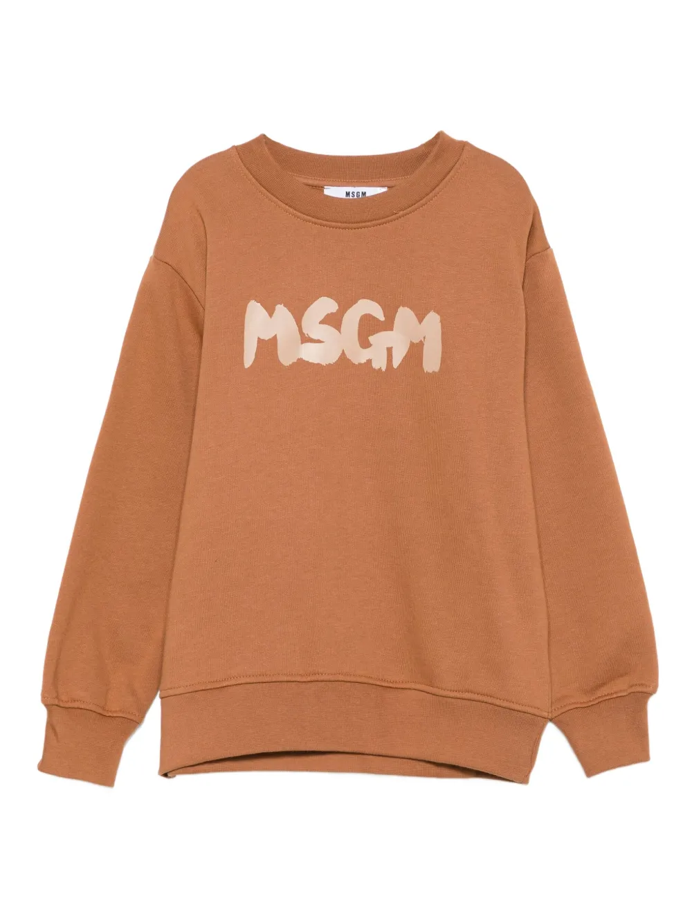 Msgm Logo-print Sweatshirt In Brown