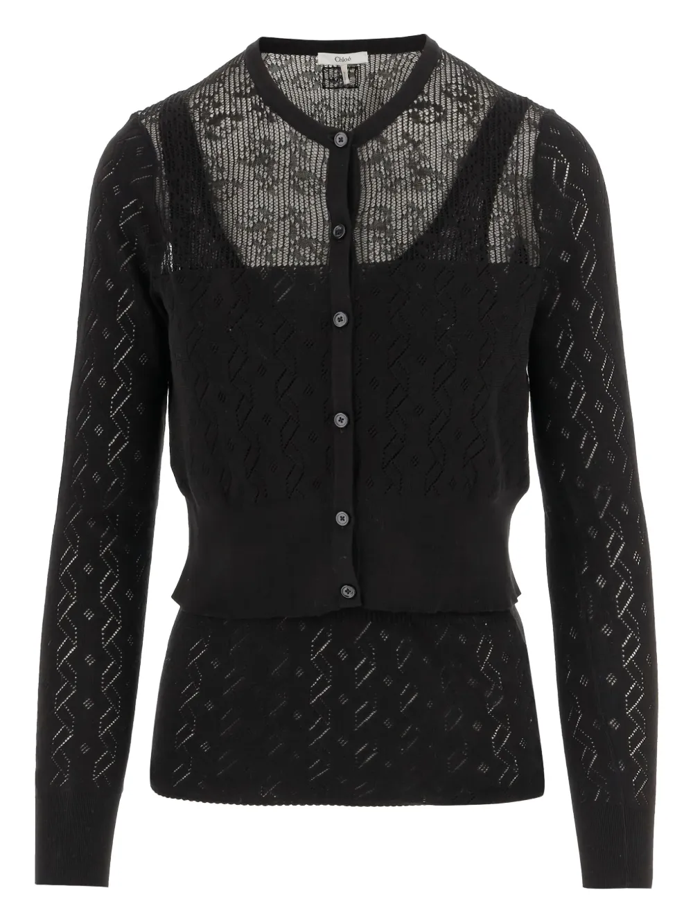 Chloé Transparent Design Cotton Sweater With Front Button Closure In Black