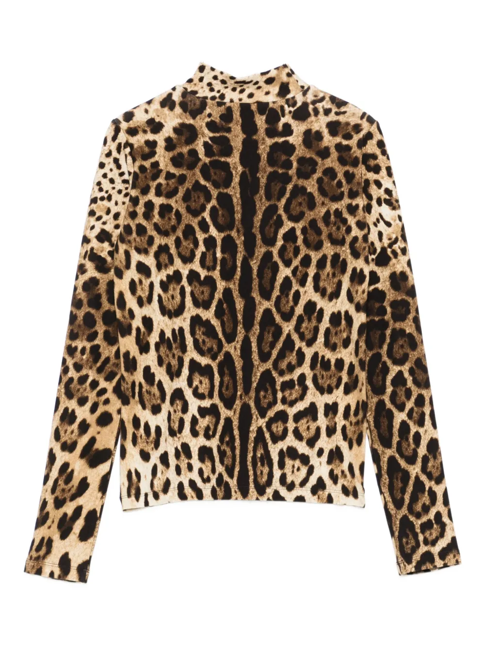 Dolce & Gabbana Leopard-print Mock-neck Sweater In Brown