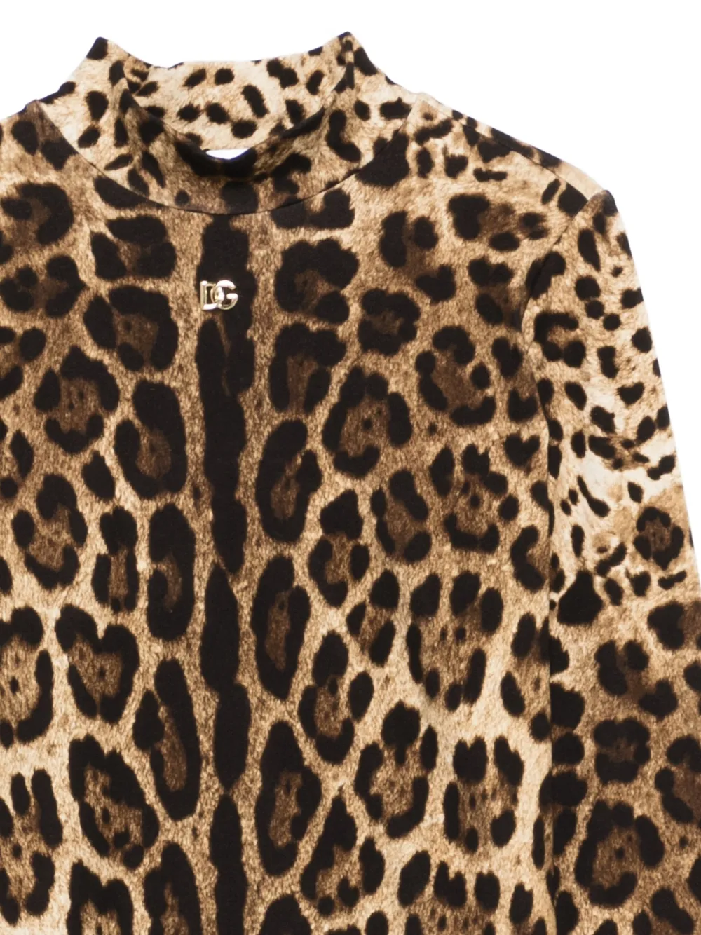 Dolce & Gabbana Leopard-print Mock-neck Sweater In Brown