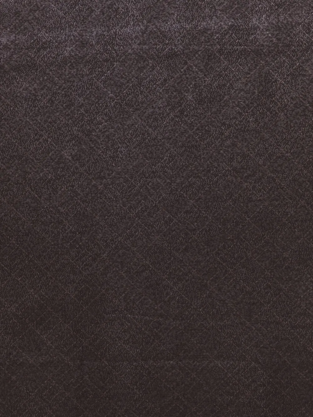 Elisabetta Franchi fringed viscose scarf - Bruin