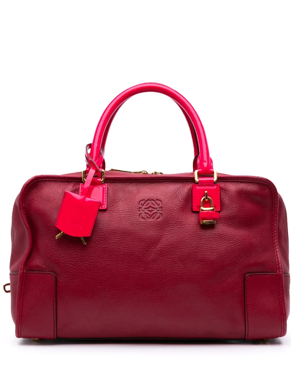 2011 Special Edition Bicolor Leather Amazona 36 handbag