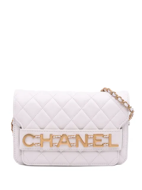 CHANEL Pre-Owned 2019 Medium Quilted Calfskin Enchained Flap crossbody bag