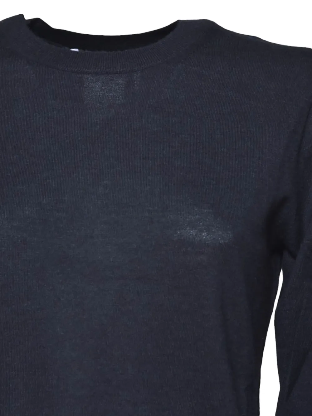 Max Mara Long-sleeved Crew-neck T-shirt In Blue