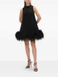 Rachel Gilbert Link ostrich-feather mini dress - Black