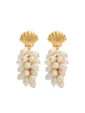 Kenneth Jay Lane shell-shaped pearl cluster drop earrings - Gold