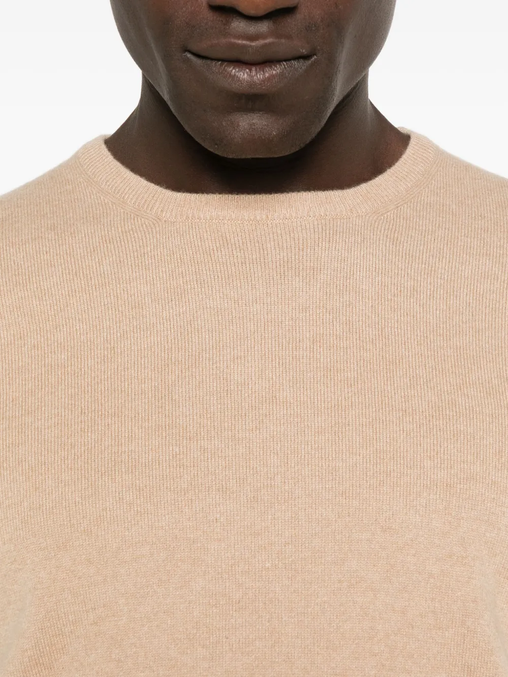 Fileria Crew-neck Cashmere Sweater In Neutral
