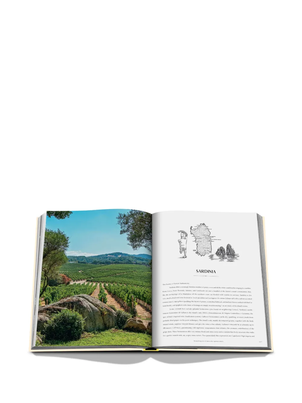 Assouline Mediterranean Islands Book In Yellow