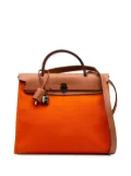 Hermès Pre-Owned 2010 Toile Herbag Zip 31 satchel - Orange
