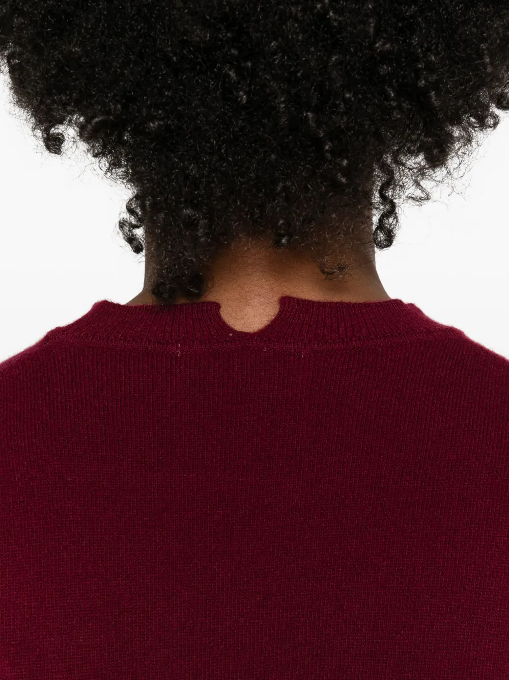 Daniele Fiesoli Crew-neck Sweater In Burgundy