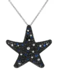 Pasquale Bruni 18kt white gold Star sapphire necklace - Silver