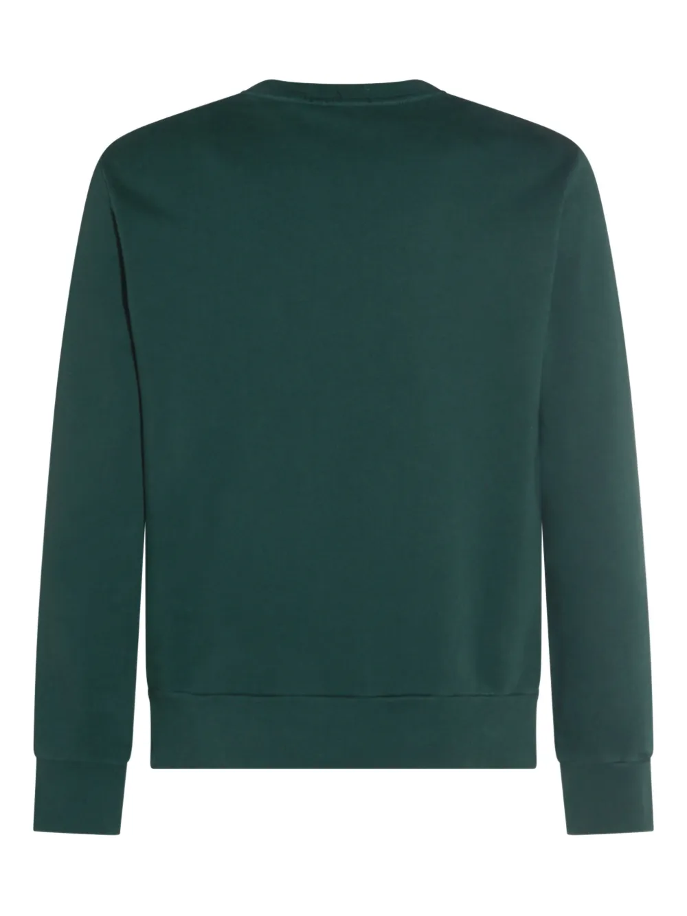 Polo Ralph Lauren embroidered logo crew neck sweatshirt - Groen
