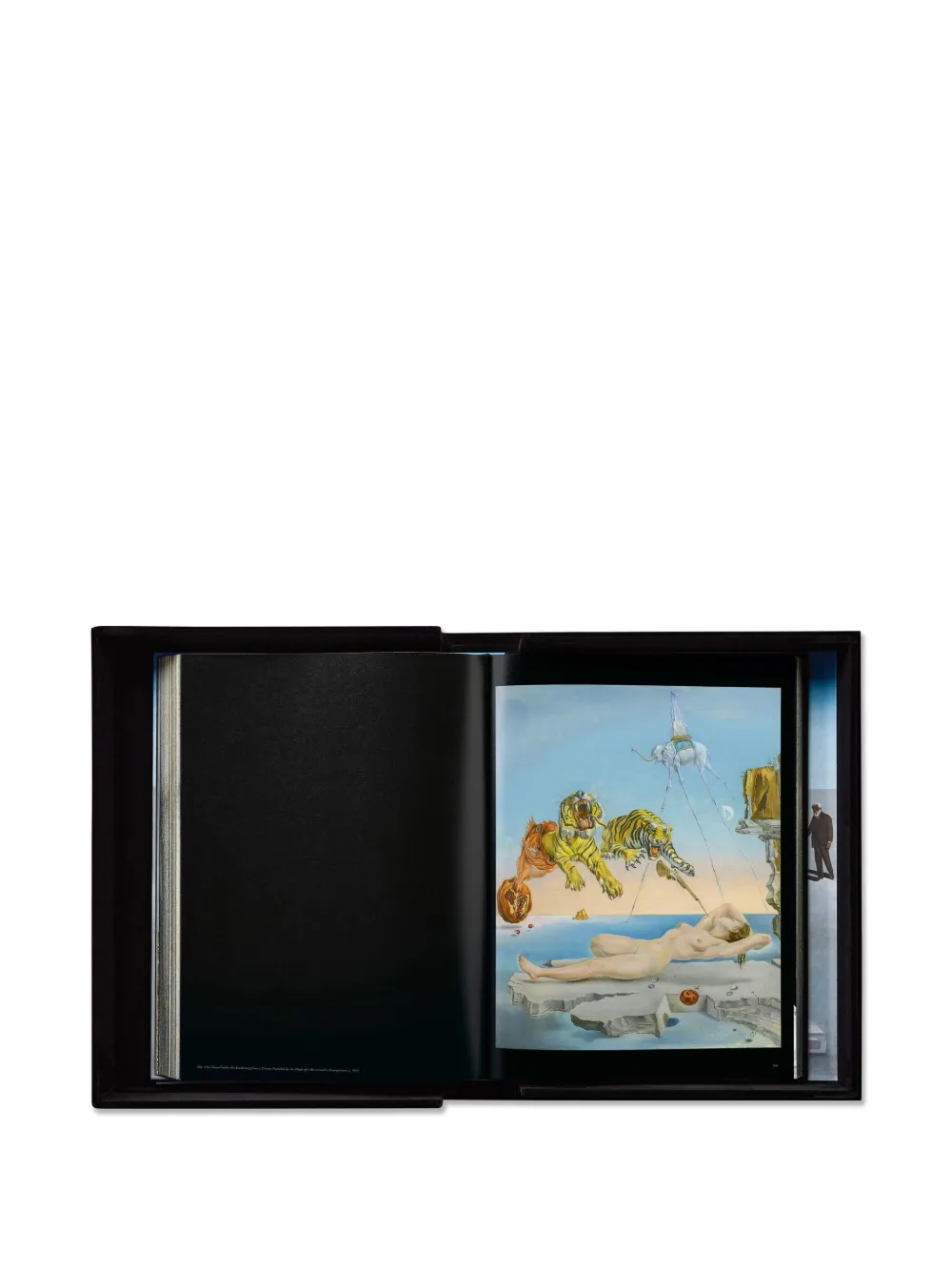  Taschen Dalí Book Set (set Of Three) (36.7cm X 50cm) - Black 