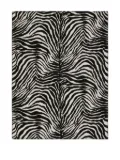 Dolce & Gabbana Casa zebra-print blanket - Black