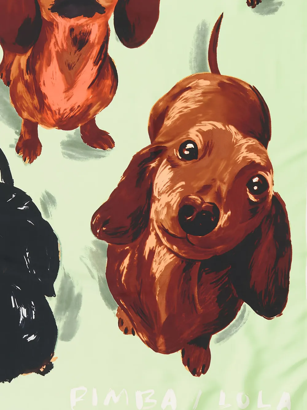 Bimba Y Lola Dogs-print Scarf In Green