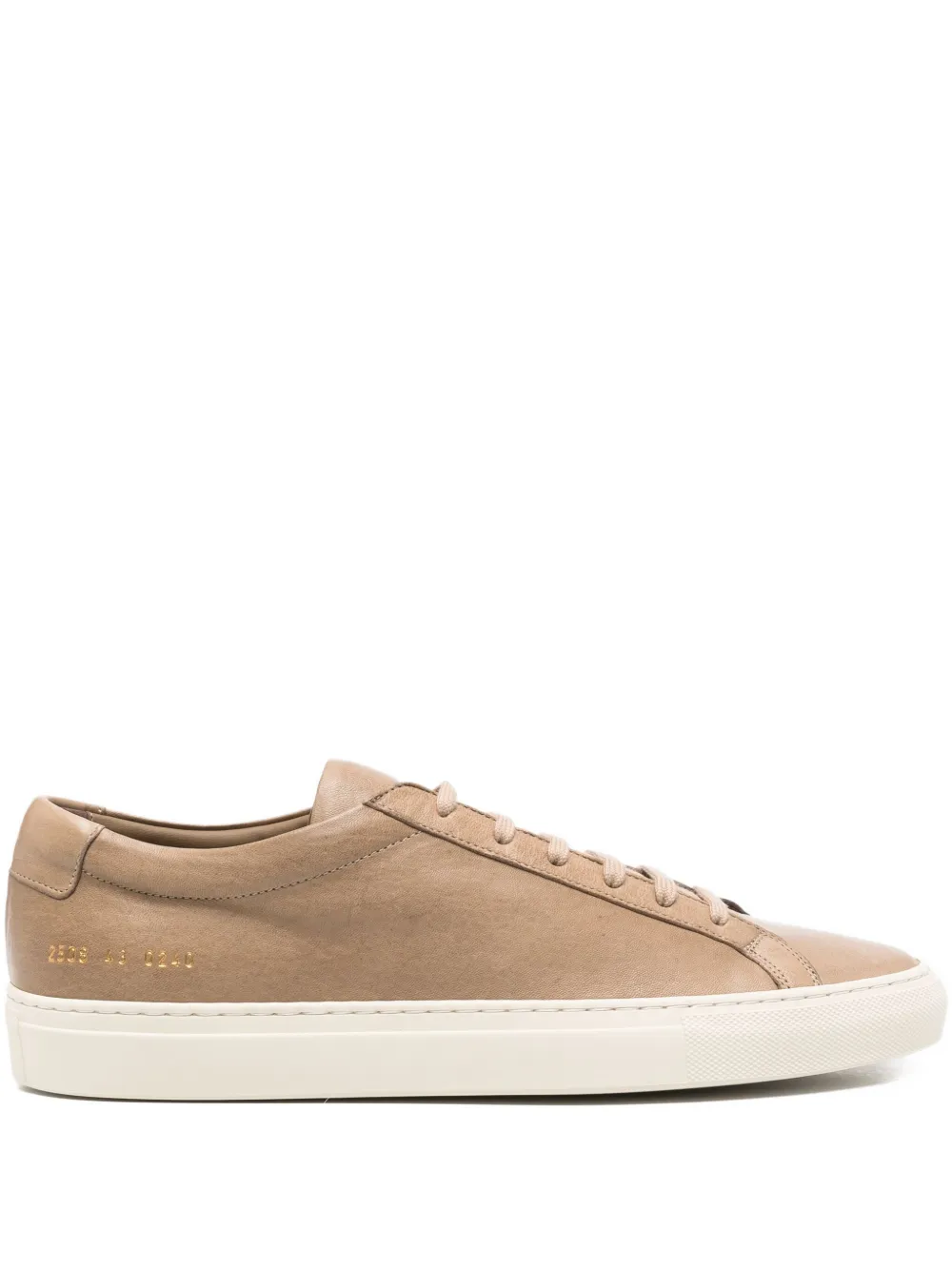 Common Projects leather sneakers Brown