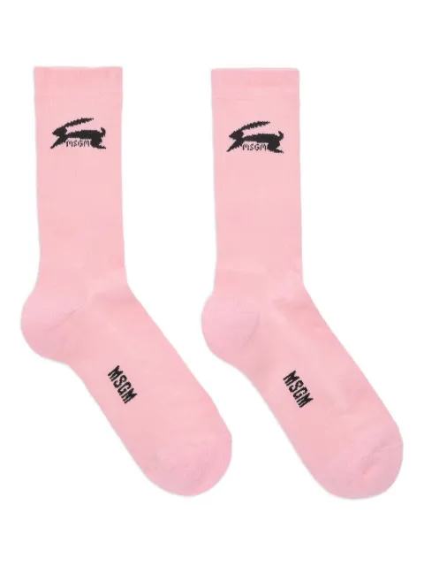 MSGM rabbit-logo socks