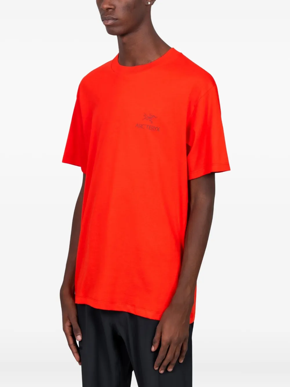Arc'teryx Kragg cotton Bird Word T-shirt - Rood