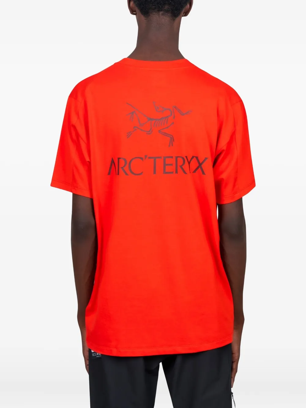 Arc'teryx Kragg Cotton Bird Word T-shirt In Red