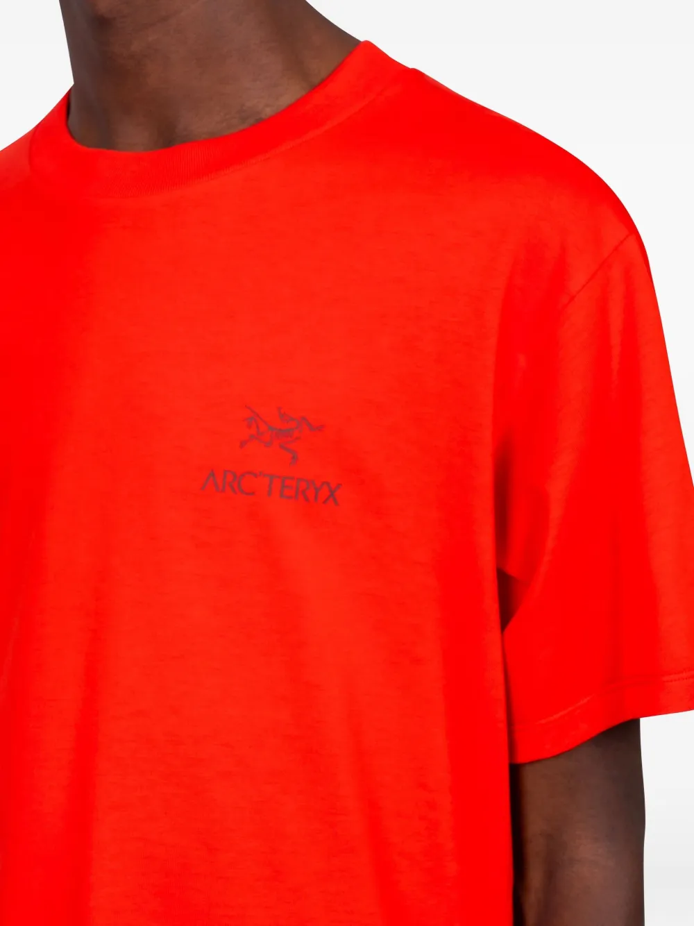 Arc'teryx Kragg Cotton Bird Word T-shirt In Red