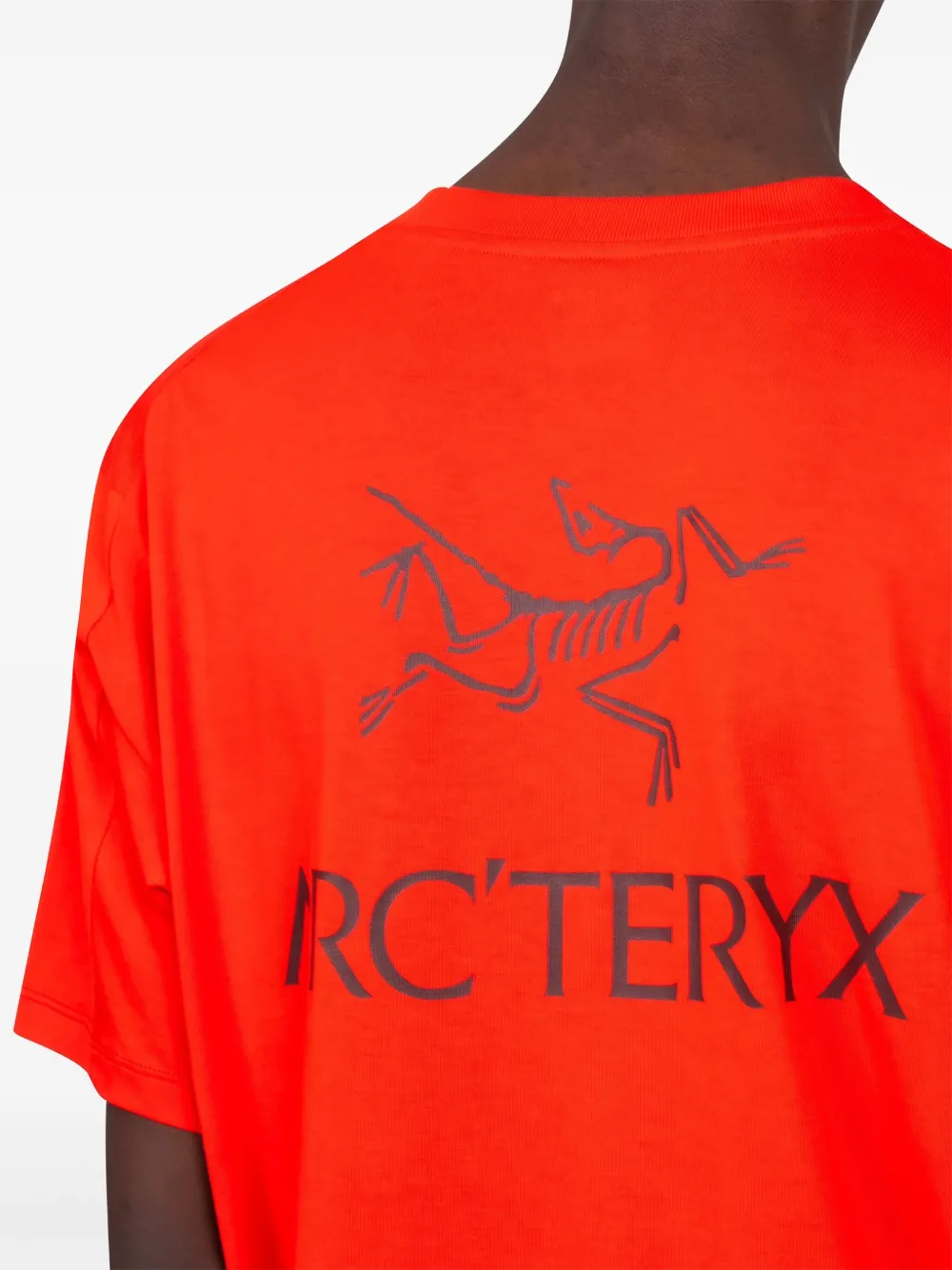 Arc'teryx Kragg Cotton Bird Word T-shirt In Red