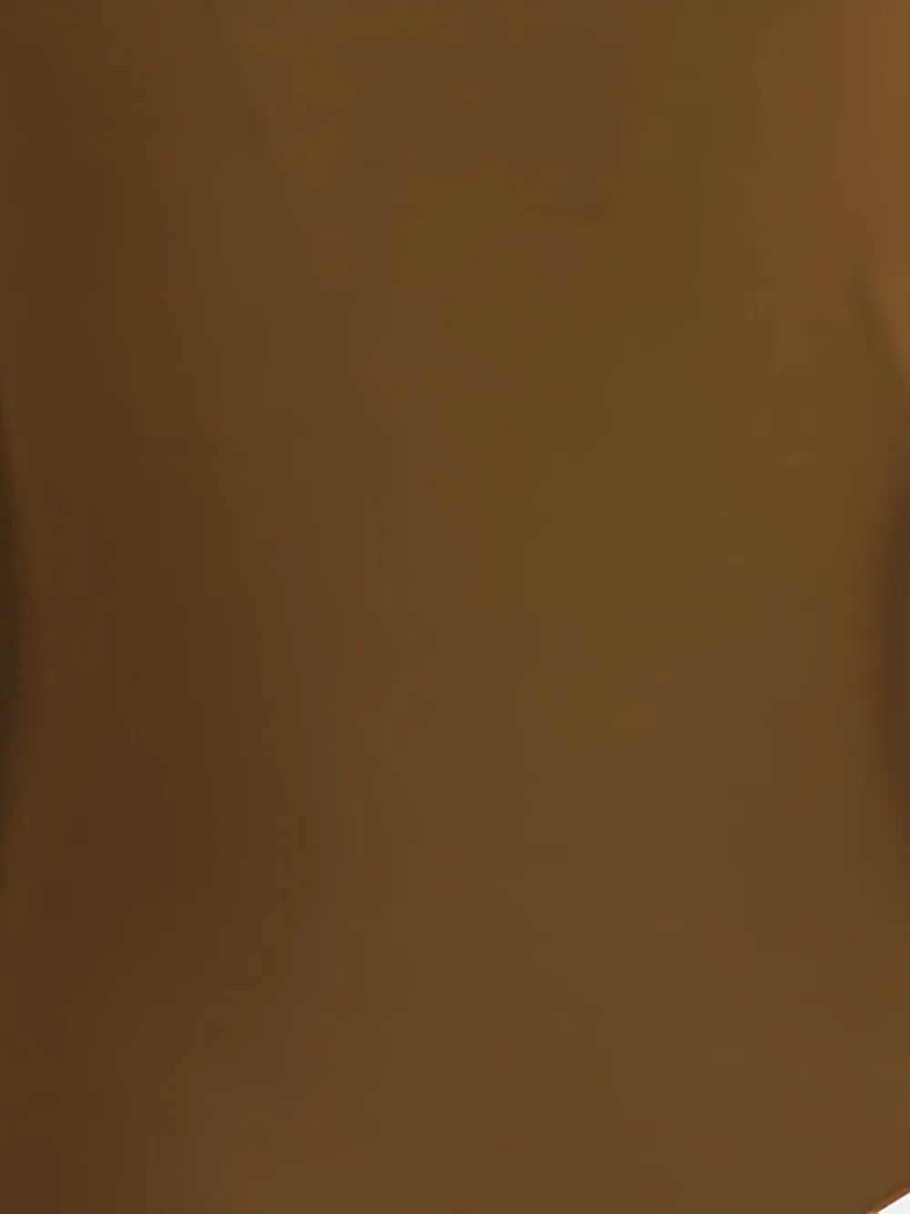 THE ANDAMANE V-neck long-sleeve bodysuit Bruin