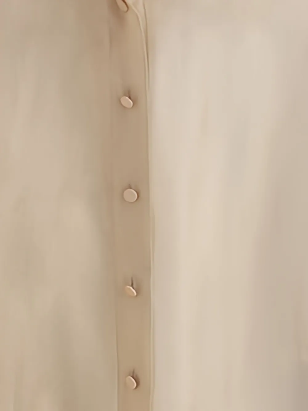 Forte Forte Organza Button-front Shirt In Neutral