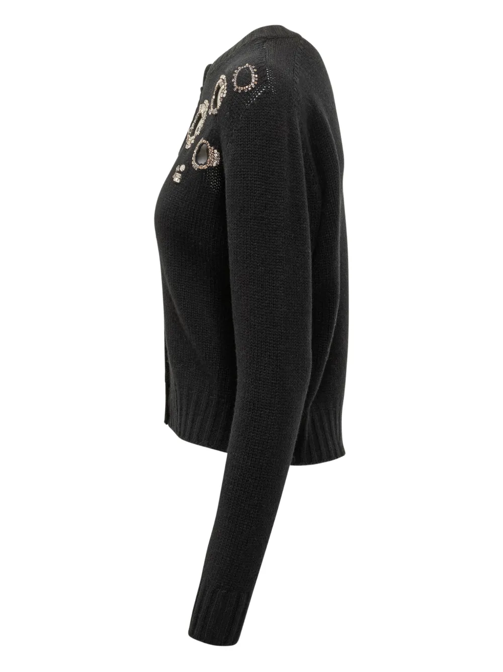 Fabiana Filippi Black Cardigan With Jewel Applications In Black