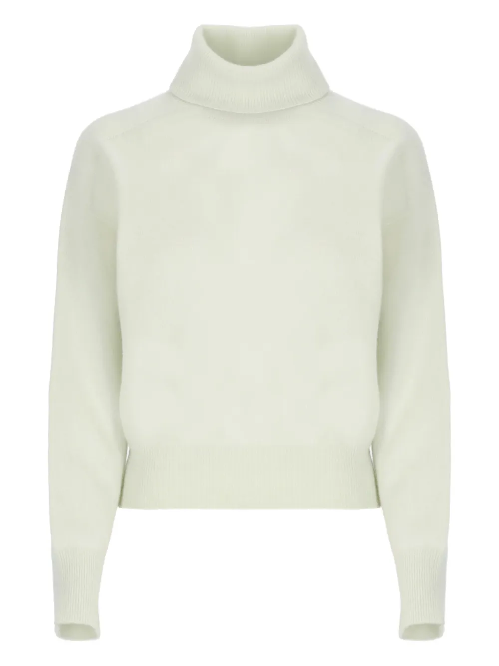 Vanisé Cashmere Sweater With Turtleneck And Ribbed Cuffs In Neutral
