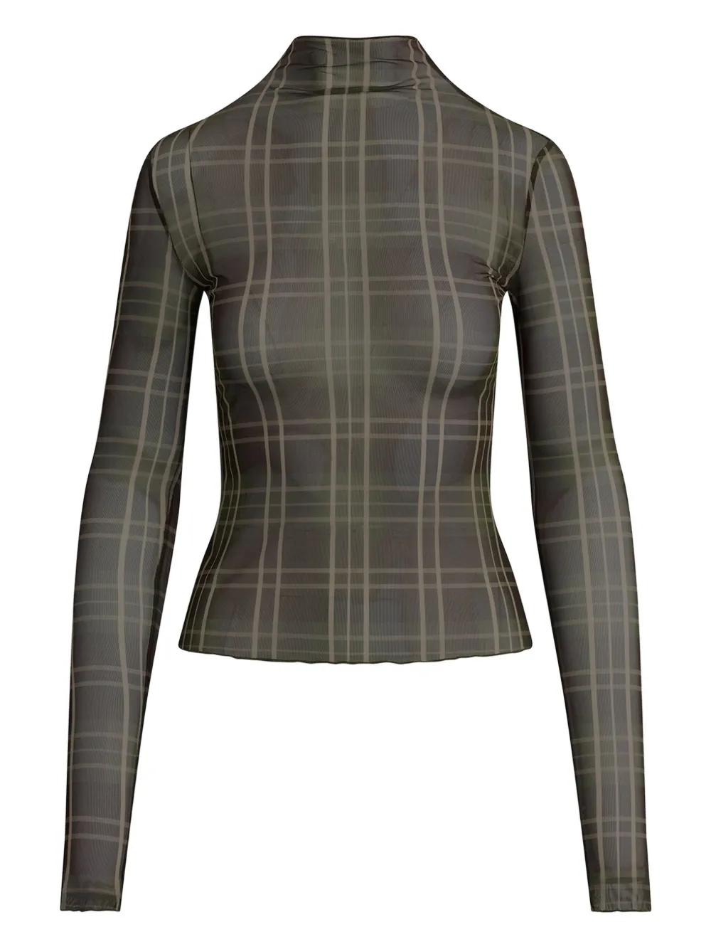 Favorite Daughter The Sheer Fantasy Turtleneck Top In Green
