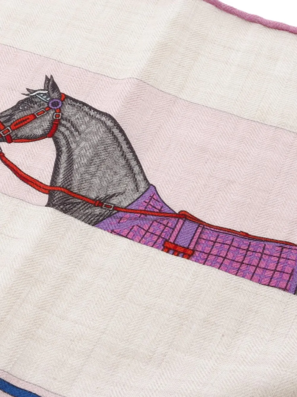 Hermès Pre-Owned écharpe Carréjan (années 2010) | Image 2