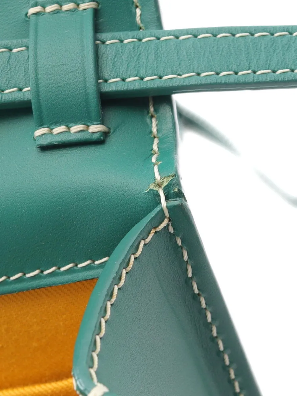 Pre-owned Goyard 10s Monte Carlo Pm Cross-body Bag In Green