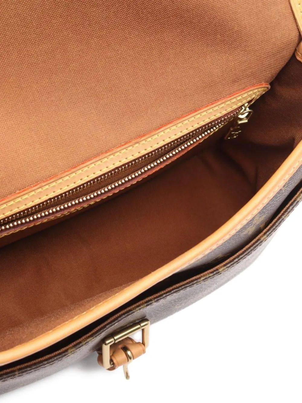Pre-owned Louis Vuitton 2003 Small Sologne Monogram Shoulder Bag In Brown