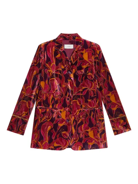 MALIPARMI floral velvet blazer