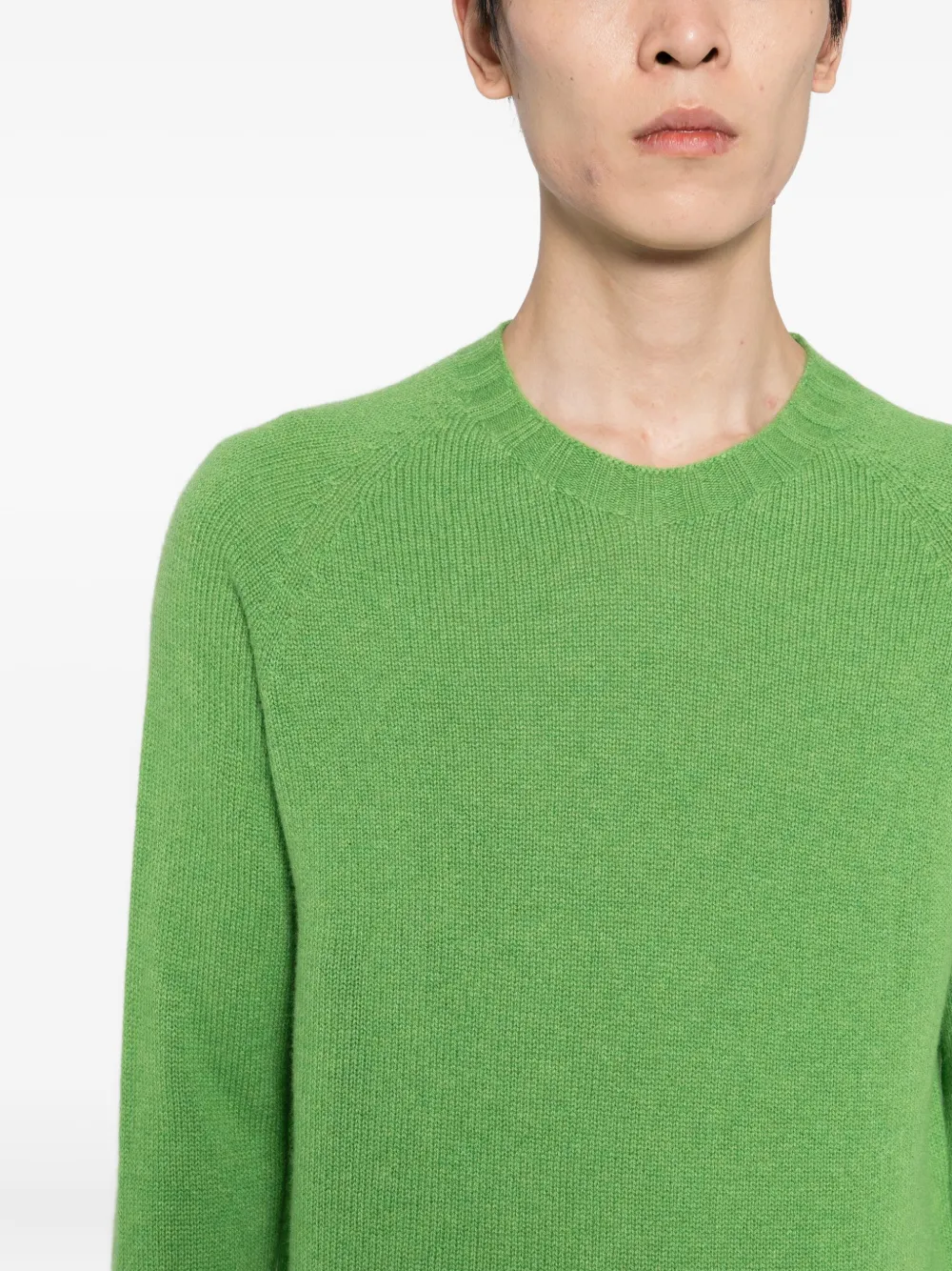 Tagliatore Crew-neck Cashmere Sweater In Green