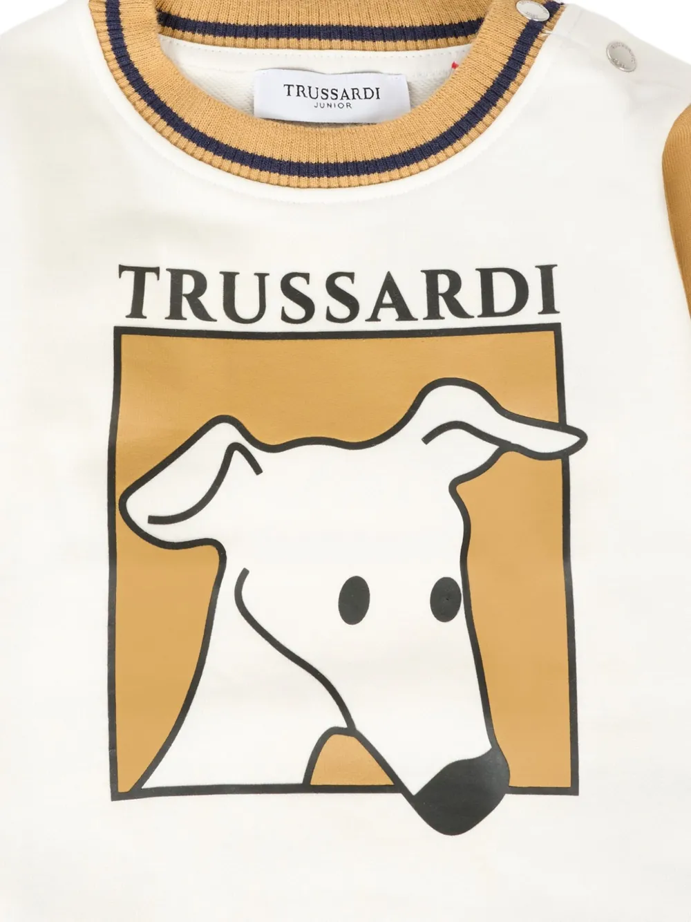 TRUSSARDI JUNIOR Sweater met ronde hals en hondenprint Wit