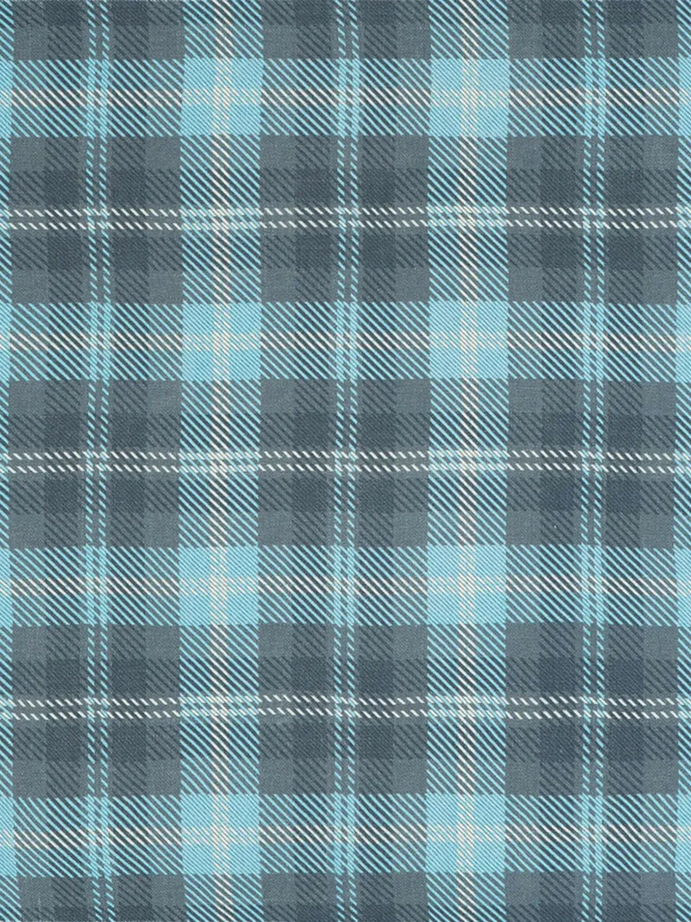 Eric Bompard checked fringed scarf | Women | Image 2
