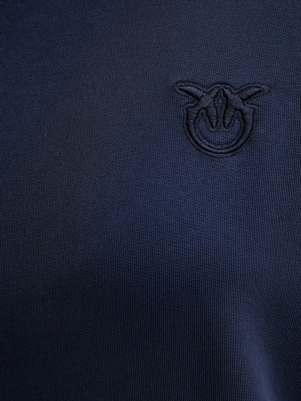 Pinko Melato Logo-detail Hoodie In Blue