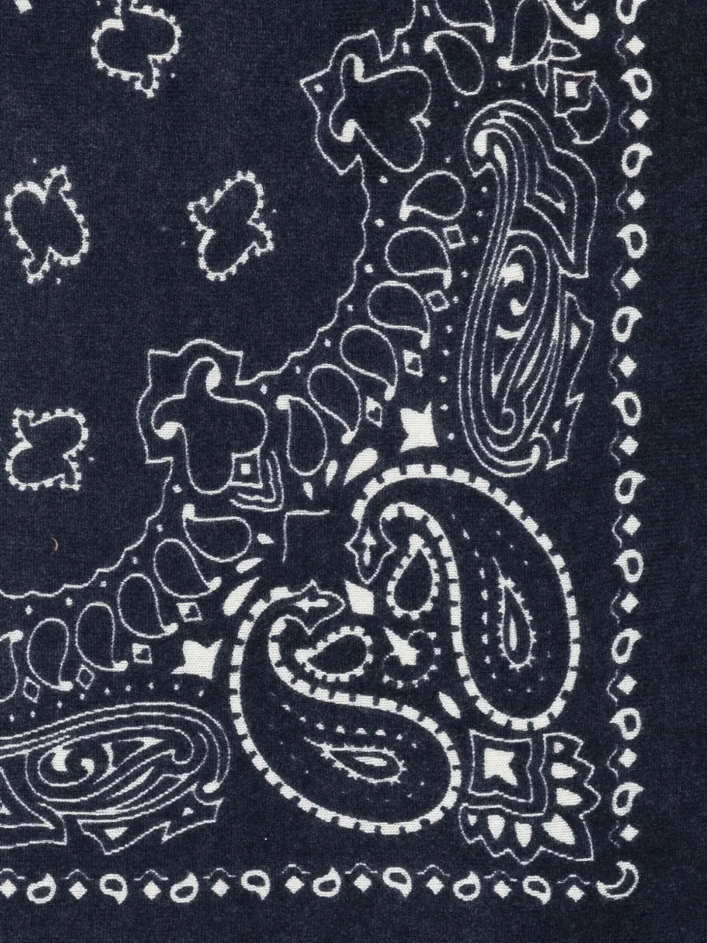 Kujten Hachiko paisley-pattern fringed scarf - Blauw