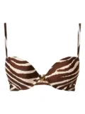 TWINSET zebra push-up bra - Brown