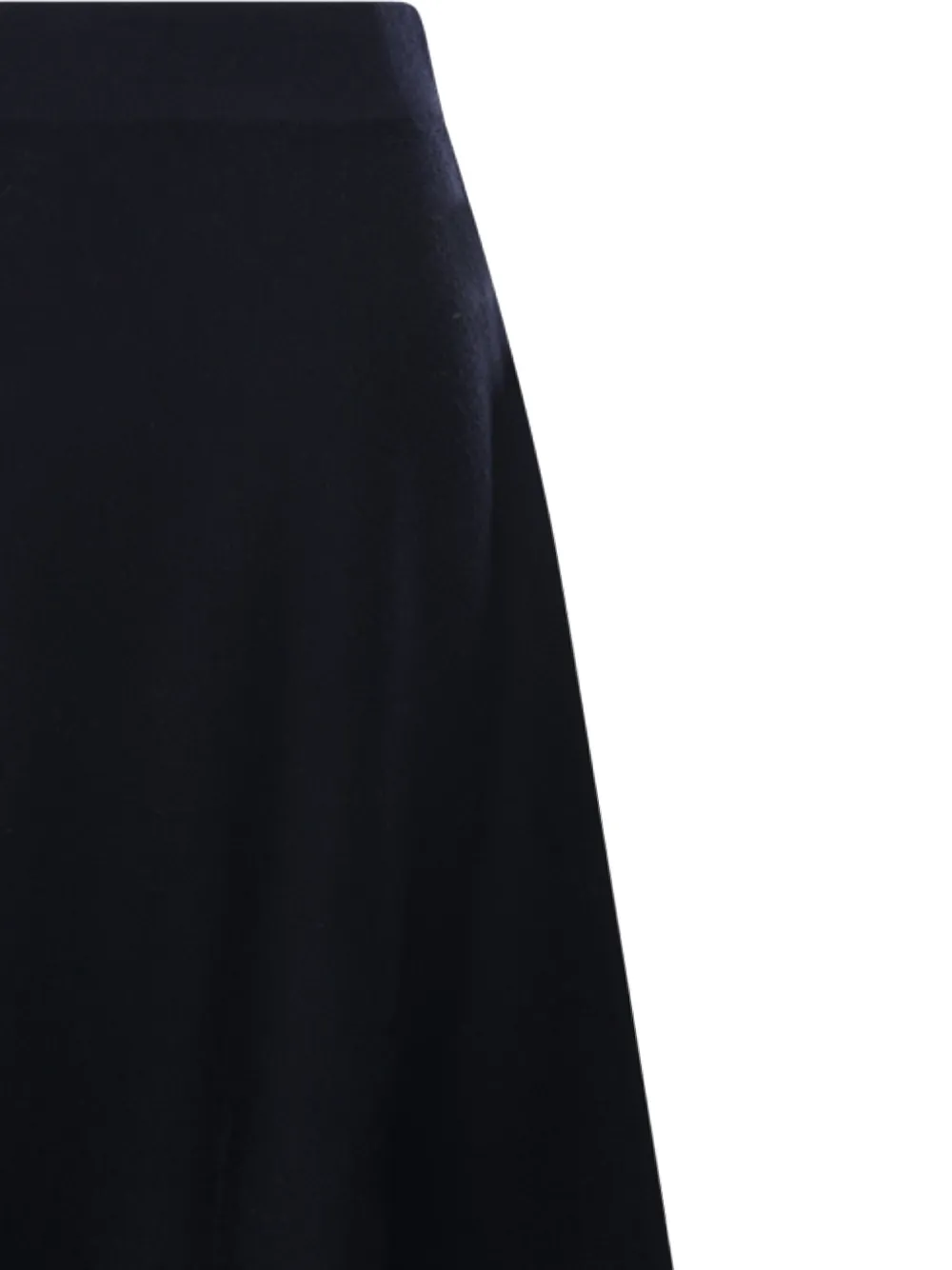 Max Mara Flared Skirt In Blue