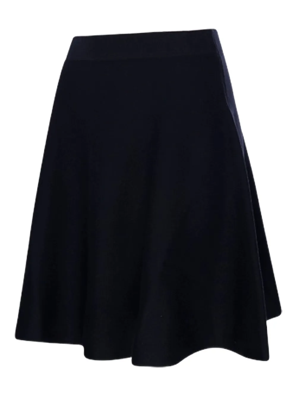 Max Mara Flared Skirt In Blue