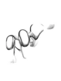 Maria Black Coil Crawler earring - Silver
