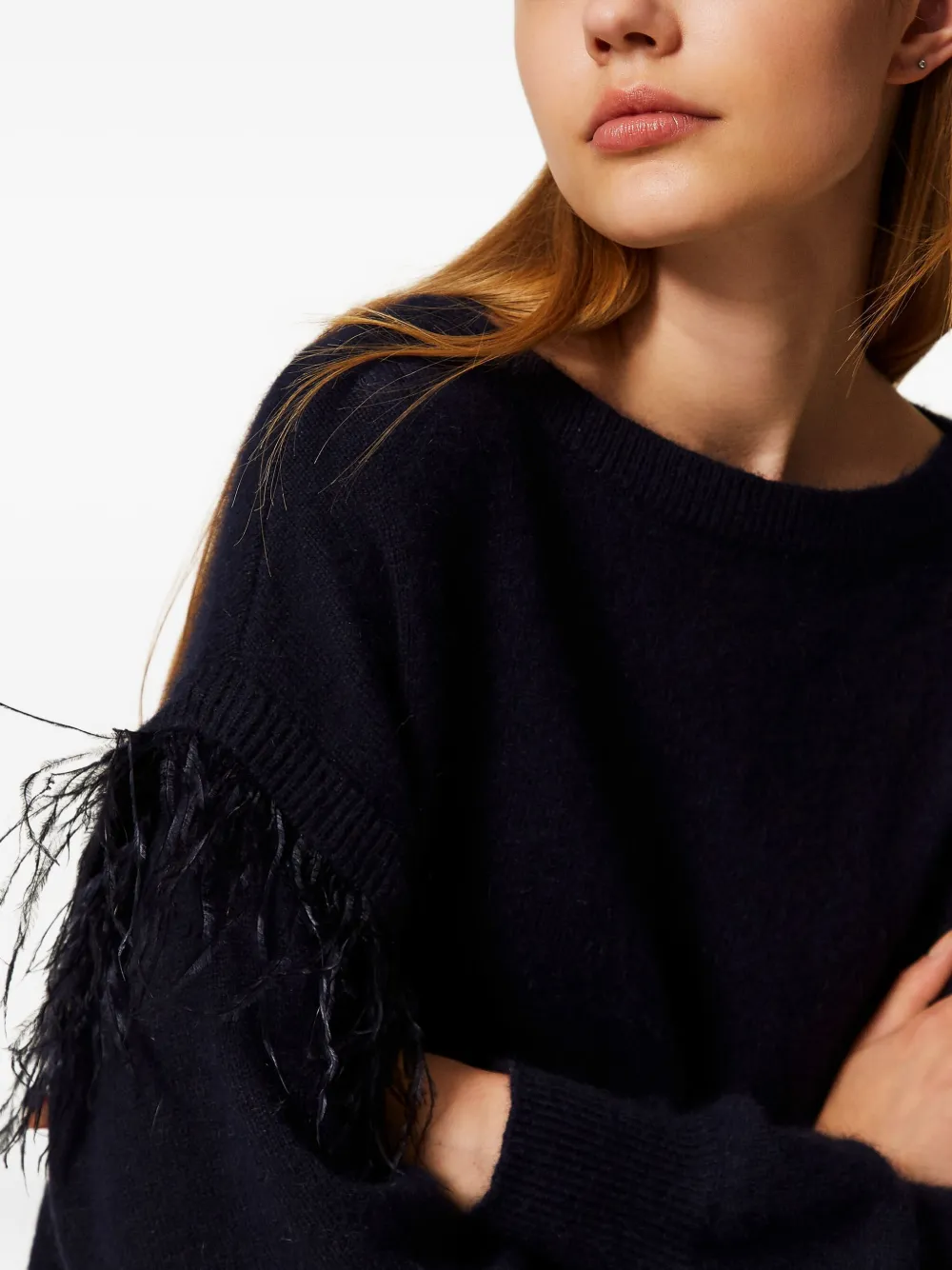 Twinset Feather-trim Sweater In Black