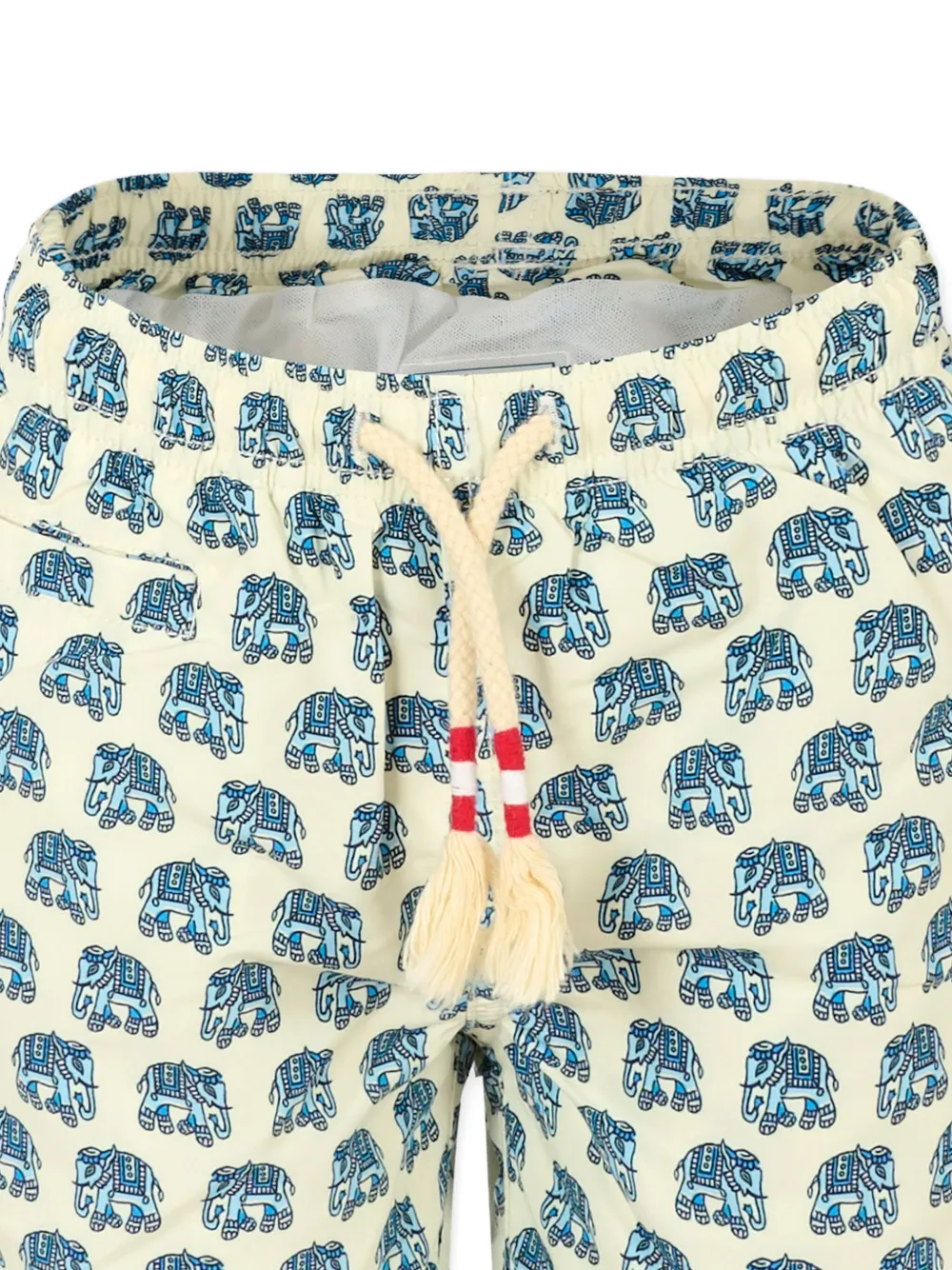 Mc2 Saint Barth Elephant-print Drawstring Swim Shorts In Multi