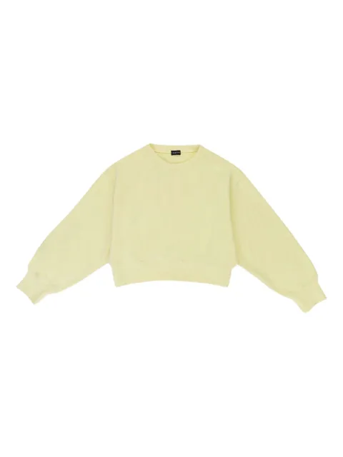Callipygian cropped sweater