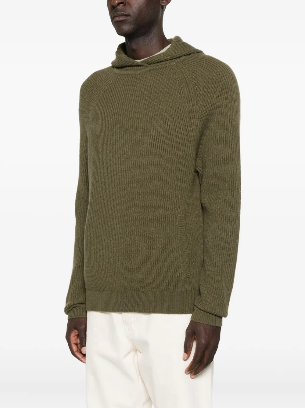 Eric Bompard Ribbed-knit Hooded Sweater In Green
