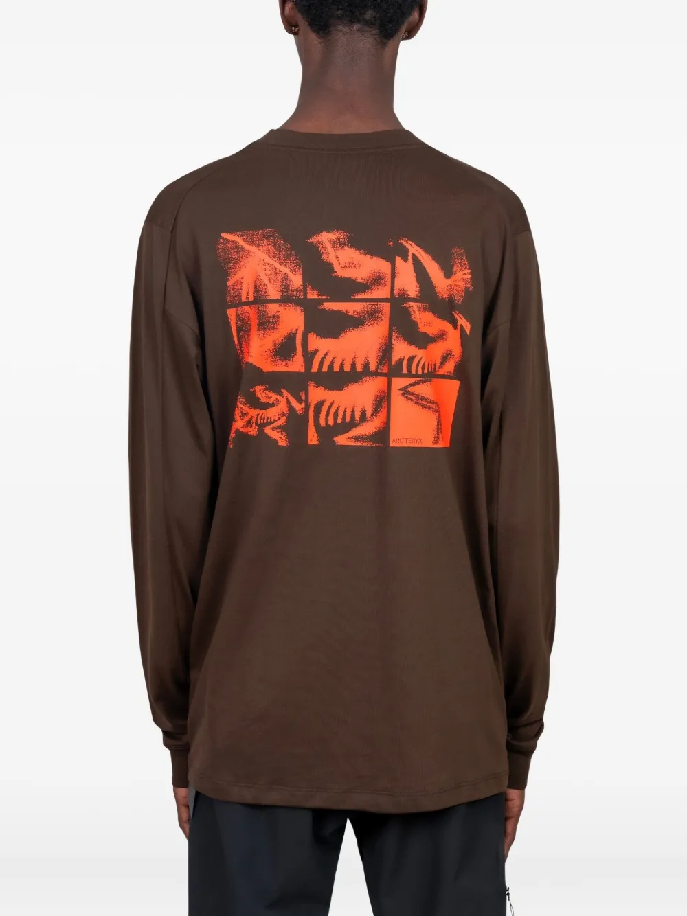 Arc'teryx Kragg Bird Tile Cotton T-shirt In Brown